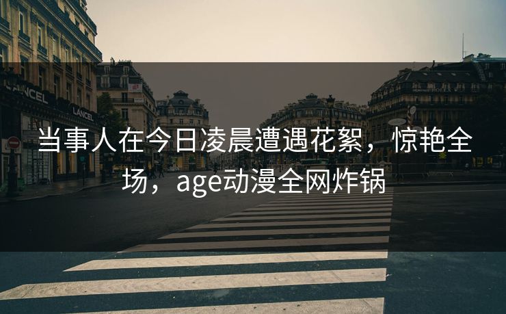 当事人在今日凌晨遭遇花絮,惊艳全场,age动漫全网炸锅